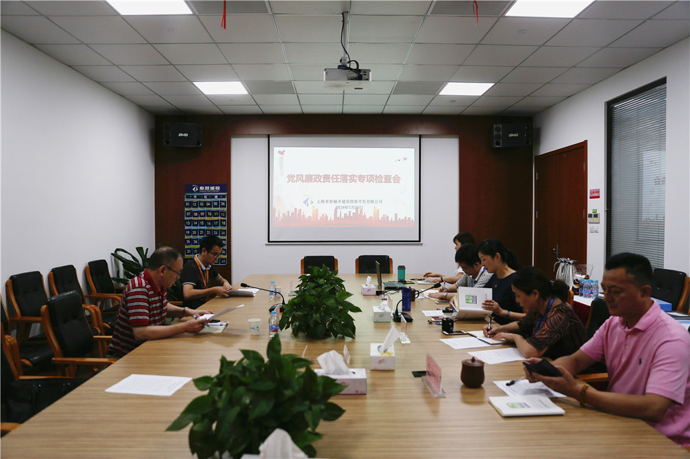 0726城投公司黨風(fēng)廉政專項(xiàng)檢查1