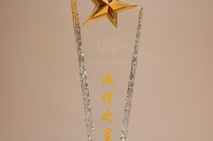 喜報(bào)！城投公司被評(píng)為 2023年度奉賢區(qū)“誠(chéng)信之星”企業(yè)